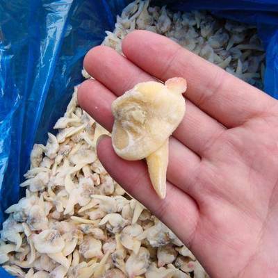 連云港農產品市場 供應、價格與網上交易平臺全景分析