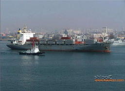 連云港進(jìn)口報關(guān)行服務(wù)全解析